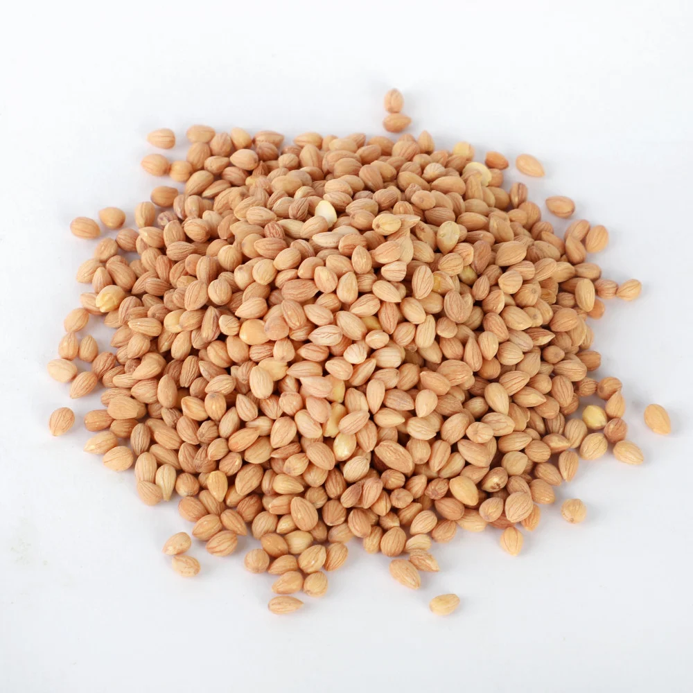 محلب ابيض 50 كيلو